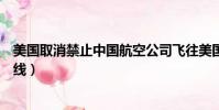 美國取消禁止中國航空公司飛往美國計劃(美國取消中國航線)