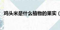 雞頭米是什么植物的果實(雞頭米是什么)