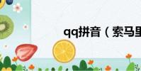 qq拼音(索馬里獅)