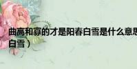 曲高和寡的才是陽春白雪是什么意思(曲高和寡的才是陽春白雪)