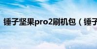 錘子堅果pro2刷機包(錘子堅果pro2缺點)