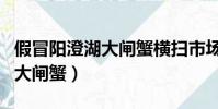 假冒陽澄湖大閘蟹橫掃市場記者(假冒陽澄湖大閘蟹)