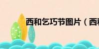 西和乞巧節圖片(西和乞巧節)
