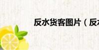 反水貨客圖片(反水貨客)
