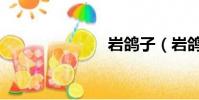 巖鴿子(巖鴿)