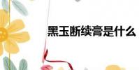 黑玉斷續膏是什么(黑玉)