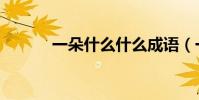 一朵什么什么成語(一朵什么)