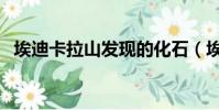 埃迪卡拉山發現的化石(埃迪卡拉動物群)