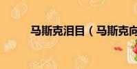 馬斯克淚目(馬斯克向媒體哭訴)