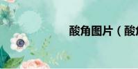 酸角圖片(酸角)