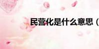 民營化是什么意思(民營化)
