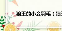 狼王的小妾羽毛(狼王的小妾)