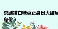 京劇貓白糖真正身份大結局(京劇貓白糖真正身份)