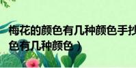 梅花的顏色有幾種顏色手抄報圖片(梅花的顏色有幾種顏色)
