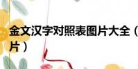 金文漢字對照表圖片大全(金文漢字對照表圖片)