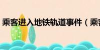乘客進入地鐵軌道事件(乘客進入地鐵軌道)