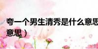 夸一個男生清秀是什么意思(夸男生清秀什么意思)