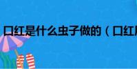 口紅是什么蟲子做的(口紅用什么蟲子做的)