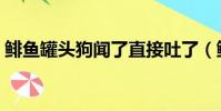 鯡魚罐頭狗聞了直接吐了(鯡魚罐頭好吃嗎)