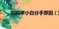 劉柏辛小白分手原因(劉柏辛小白)