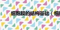 細胞膜的結構基礎(細胞膜的結構)