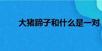 大豬蹄子和什么是一對(大豬蹄子)
