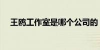 王鷗工作室是哪個公司的(王鷗工作室)
