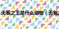 無冕之王是什么動物(無冕之王是什么生肖)
