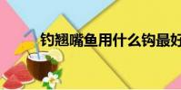 釣翹嘴魚用什么鉤最好(釣翹嘴)