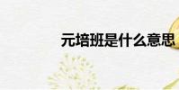 元培班是什么意思(元培)