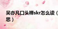 吳亦凡口頭禪skr怎么讀(吳亦凡skr什么意思)