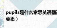 pupils是什么意思英語翻譯(pupils是什么意思)