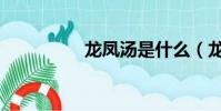 龍鳳湯是什么(龍鳳湯)