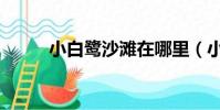 小白鷺沙灘在哪里(小白鷺沙灘)