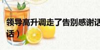 領導高升調走了告別感謝話(領導調走了感恩話)