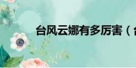 臺風云娜有多厲害(臺風云雀)