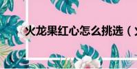 火龍果紅心怎么挑選(火龍果紅心)