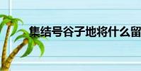 集結號谷子地將什么留在了墓碑下
