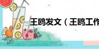 王鷗發文(王鷗工作室聲明)
