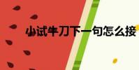 小試牛刀下一句怎么接(小試牛刀)