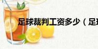 足球裁判工資多少(足球裁判年薪)