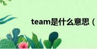 team是什么意思(teams)