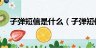 子彈短信是什么(子彈短信是用流量嗎)