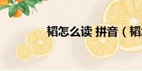 韜怎么讀 拼音(韜怎么讀)