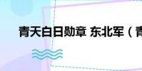 青天白日勛章 東北軍(青天白日勛章)