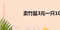 賣竹鼠3元一只10元3只