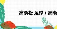 高曉松 足球(高曉松 c羅)