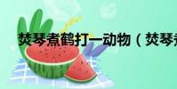 焚琴煮鶴打一動物(焚琴煮鶴打一生肖)