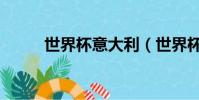 世界杯意大利(世界杯意甲轉會)