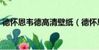 德懷恩韋德高清壁紙(德懷恩韋德何時退役)